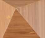 2021 B Grade close up 2